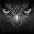 EagleEyes-lite EagleEyes-lite