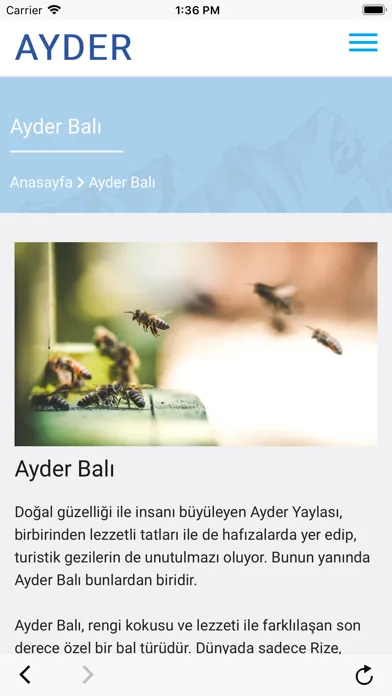 Ayder Ekran Görüntüleri