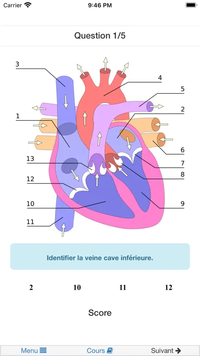Tangkapan layar Biologie humaine