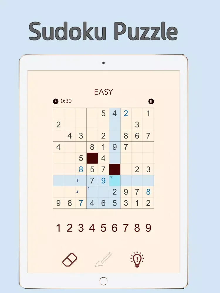 Mega Sudoku Master New Mode iPad 应用截图
