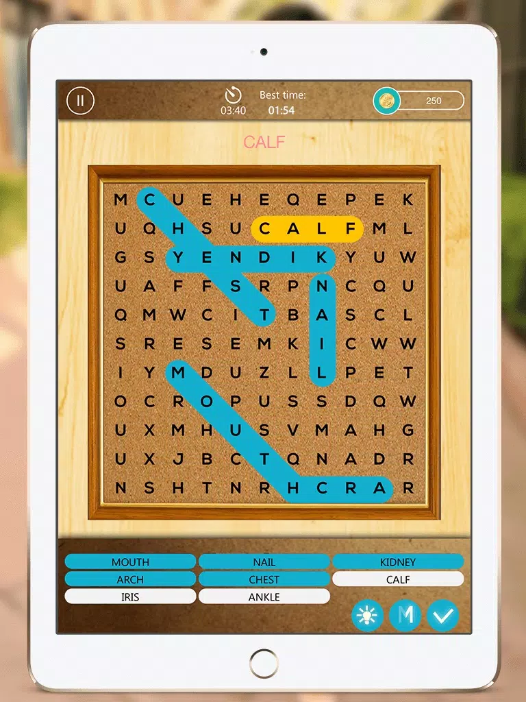 Cross Word Search Puzzles: Search and Swipe the Hidden Words iPad  Ekran Görüntüleri