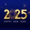 Happy New Year 2025 Stickers