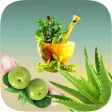 Natural Ayurvedic Healer Remedies Herbal