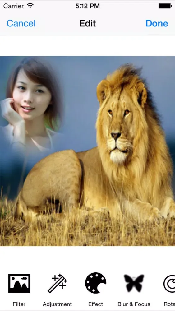 Wildlife Photo Frames - Easiest way to see wild life everyday.應用截圖