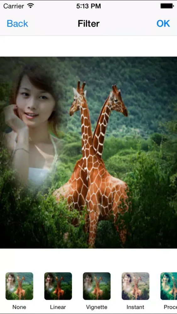 Wildlife Photo Frames - Easiest way to see wild life everyday.應用截圖