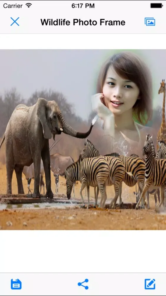 Wildlife Photo Frames - Easiest way to see wild life everyday.應用截圖