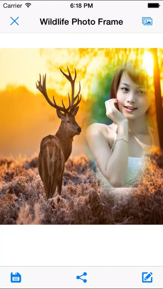 Wildlife Photo Frames - Easiest way to see wild life everyday.應用截圖