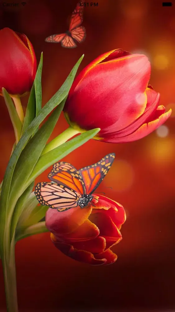 Live Flower Wallpaper স্ক্রিনশট