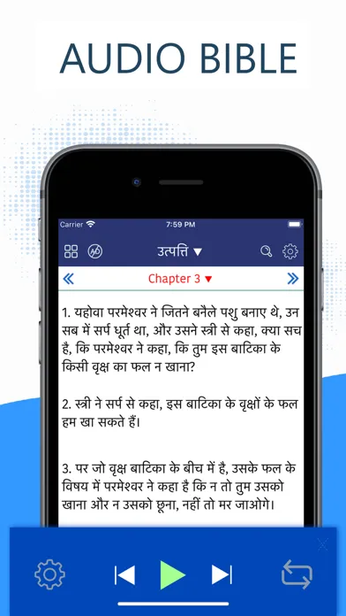 Ảnh chụp màn hình của Hindi Bible - हिंदी बाइबिल