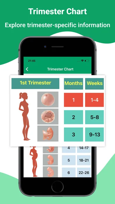 Tangkapan skrin Pregnancy Tracker & Baby Care