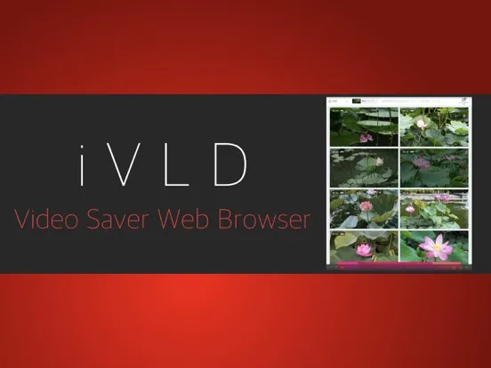 Скриншоты Video Save & URL Detect :iVLD iPad 