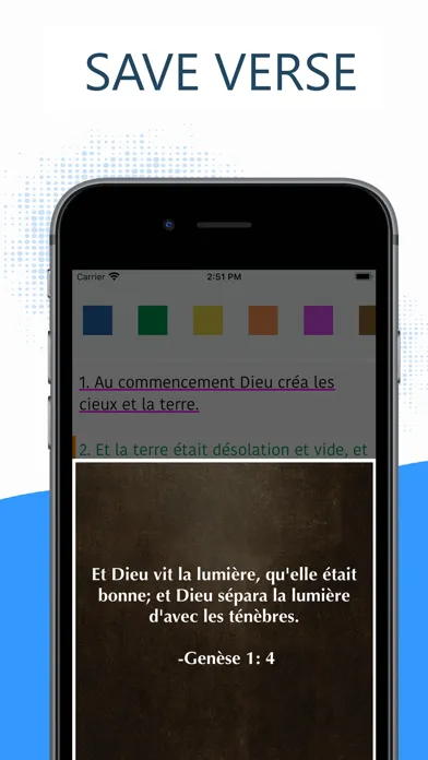 French Bible -La Bible LSV Pro Screenshots