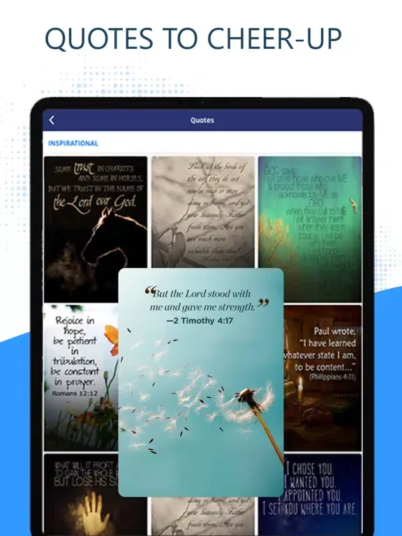 Capturas de pantalla de Holy Bible Pro (KJV Version) iPad 
