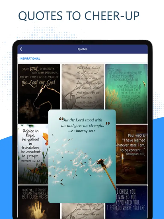 Holy Bible RSV Pro (Revised) iPad  Ekran Görüntüleri