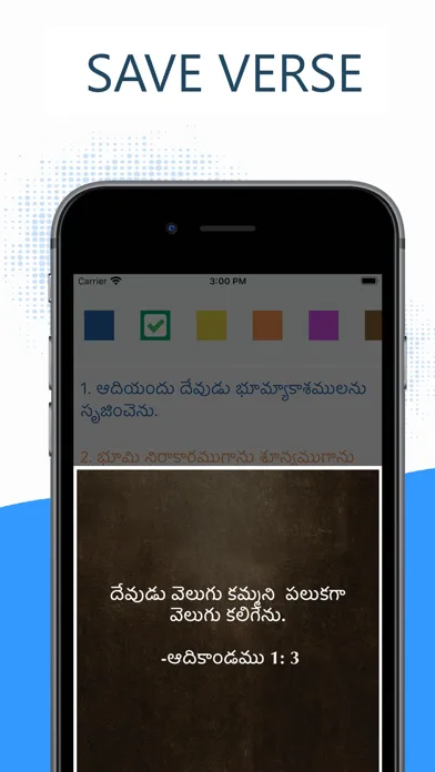 Telugu Bible Pro (Grandhamu) 스크린샷