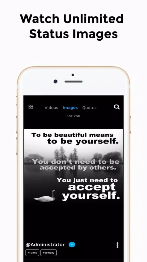 nVDOS - Unlimited Fun Videos Screenshots