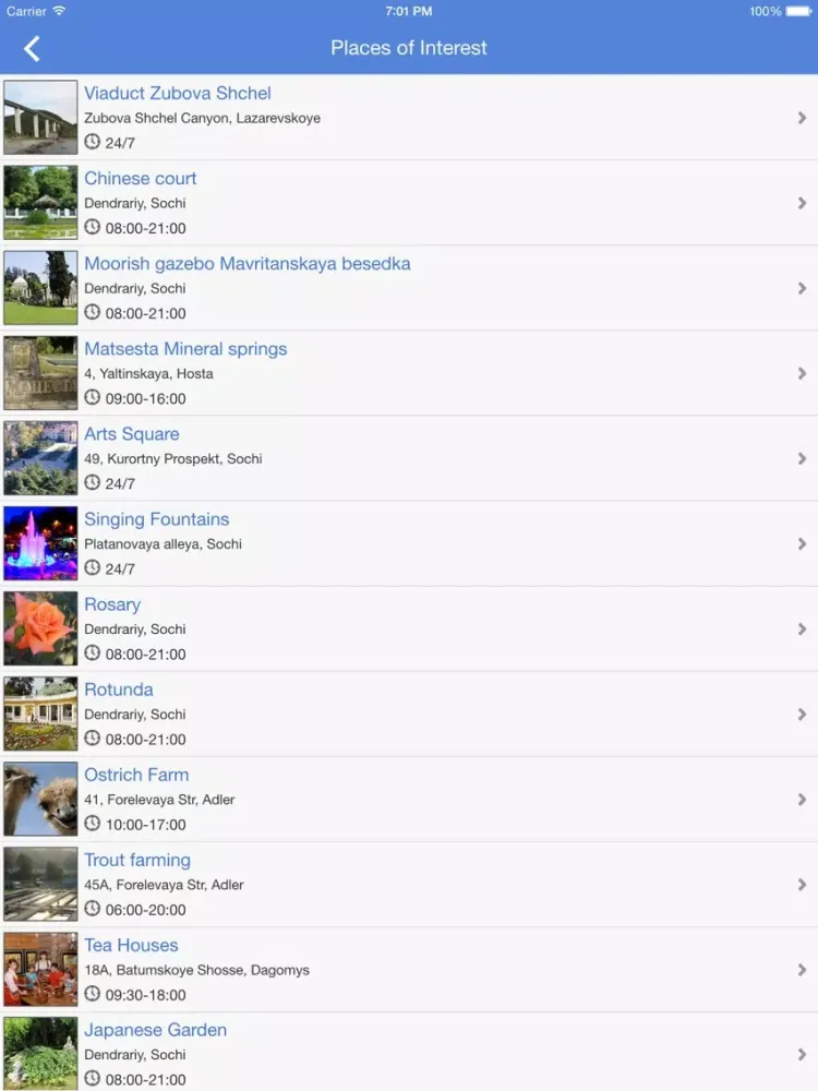 Ảnh chụp màn hình của Sochi iPad 
