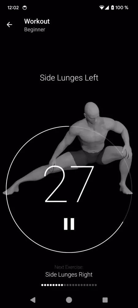 Flexibility スクリーンショット
