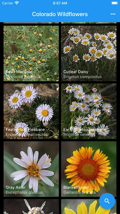 Captures d'écran de Colorado Wildflowers Guide