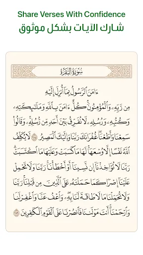 صور Ayah: Quran App