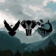 Who is Stronger?