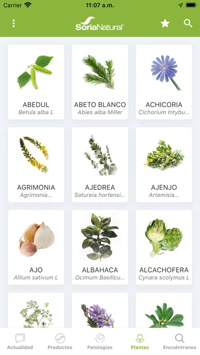 Soria Natural Screenshots