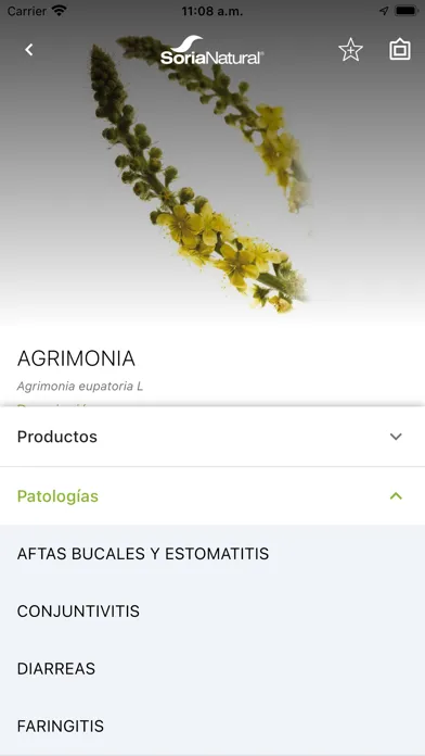 Soria Natural Screenshots