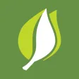 Mobile Foundry