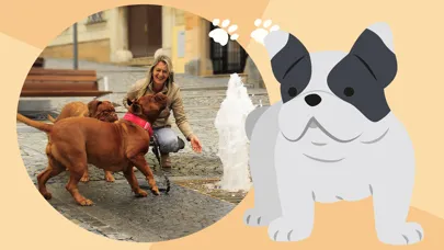 Captures d'écran de Dog Photo Frame