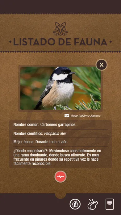 Скриншоты Rutas del Silencio