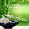 Ayurveda Tips & Wiki: Medicines Spices and much more