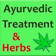 Ayurvedic Treatment & Herbs