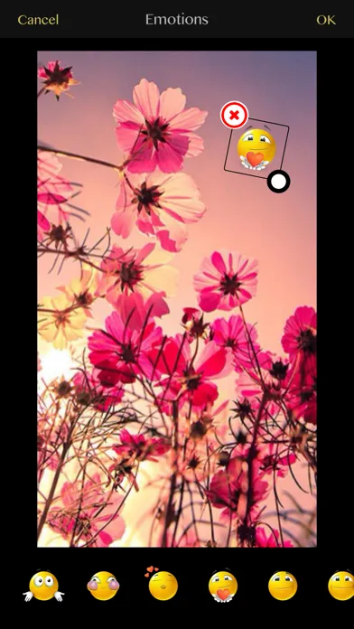 Скриншоты Photo Editing - Photozen