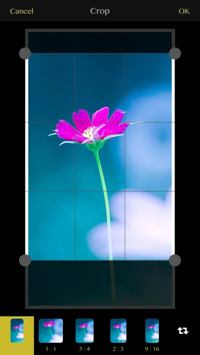Скриншоты Photo Editing - Photozen