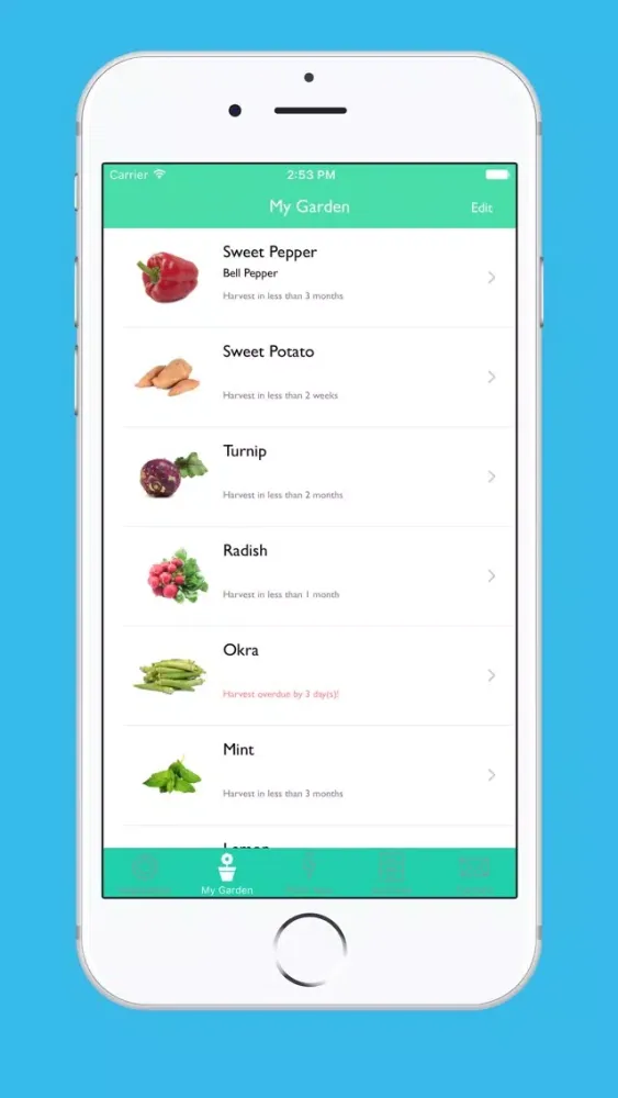Vegetable Tree - Gardening Guide Screenshots