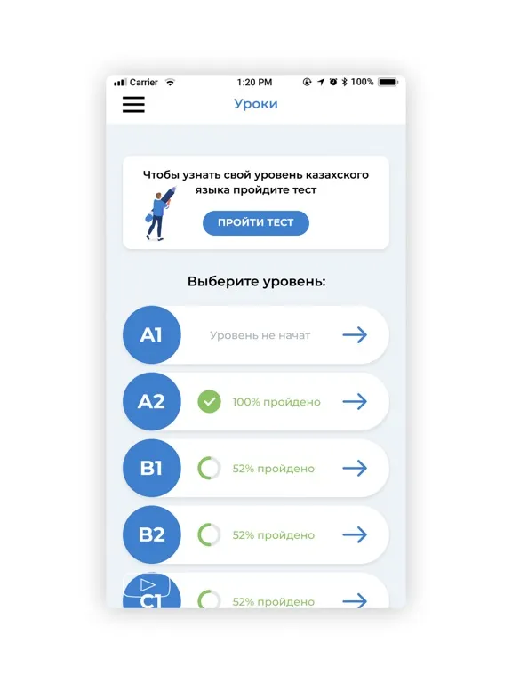 Soyle iPad 應用截圖