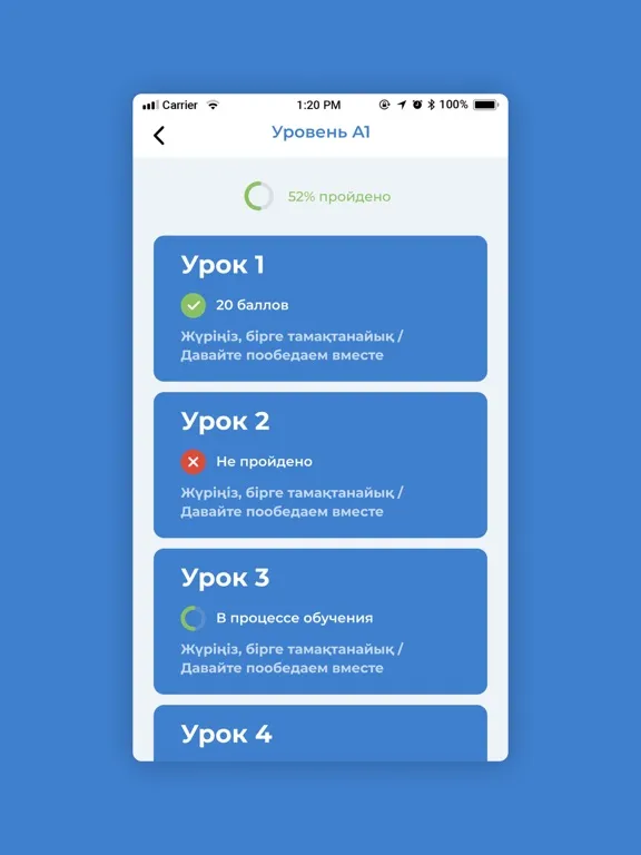 Soyle iPad 應用截圖