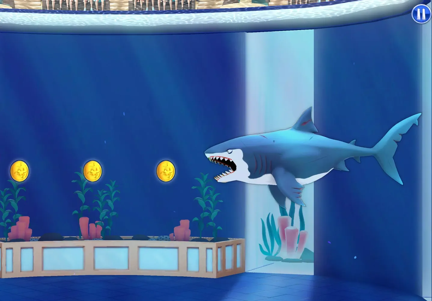 My Shark Show Screenshots