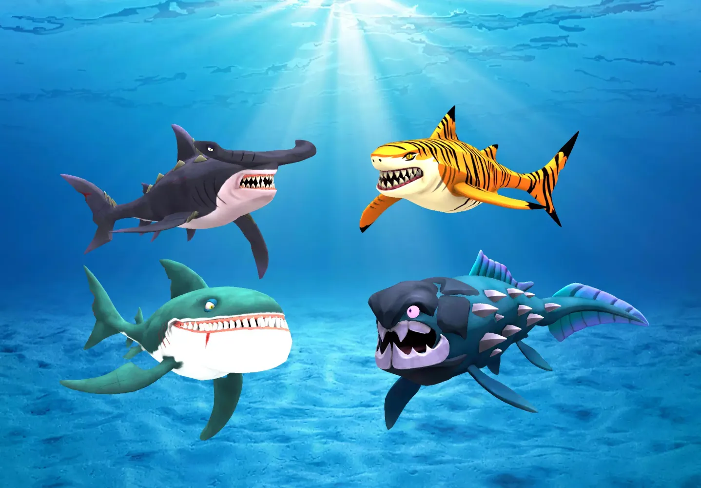 My Shark Show Screenshots