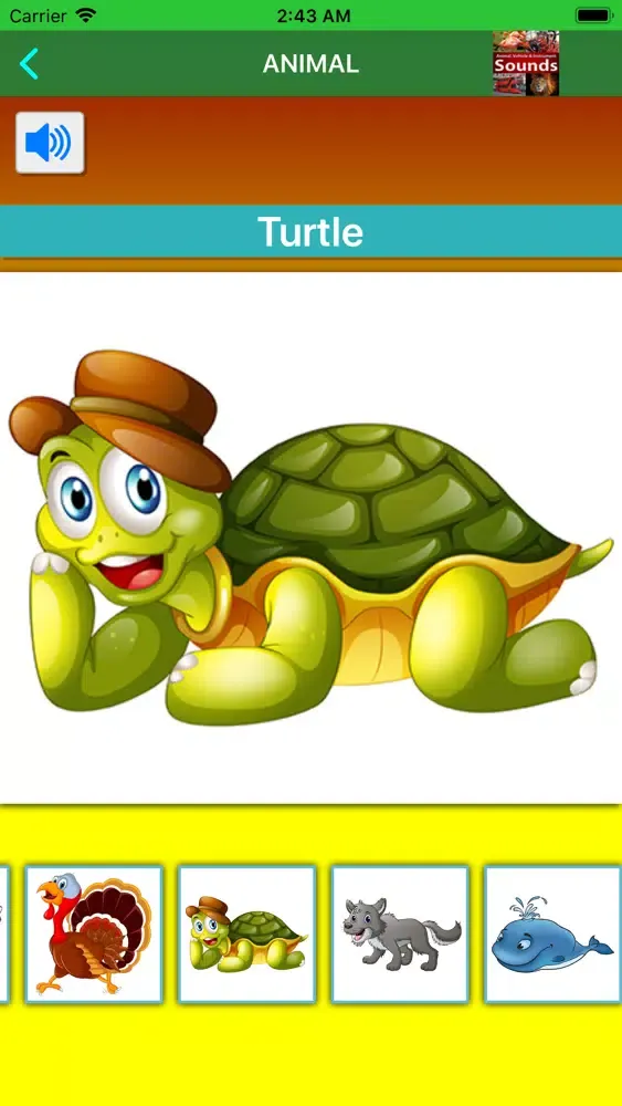 Learn English Through Fun Play应用截图