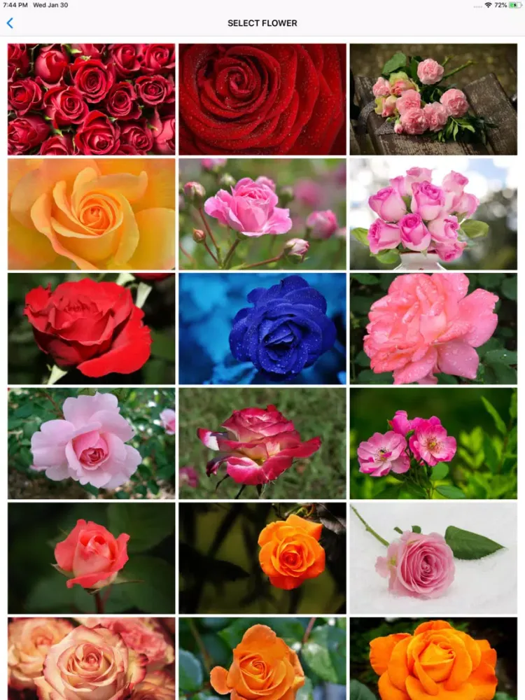 Valentine Day Wallpaper Quotes iPad  স্ক্রিনশট