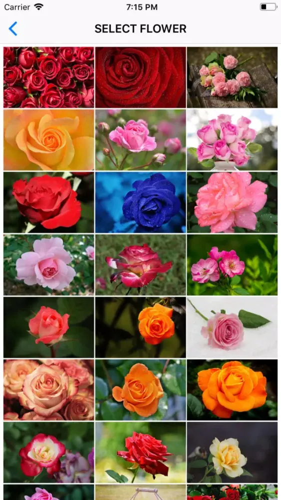 Valentine Day Wallpaper Quotes স্ক্রিনশট