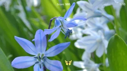 Screenshot di Brain Focus