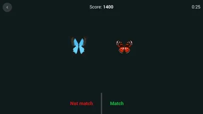 Screenshot di Brain Focus