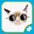 Big Cats Jigsaw Puzzle Games Everyday for Adults