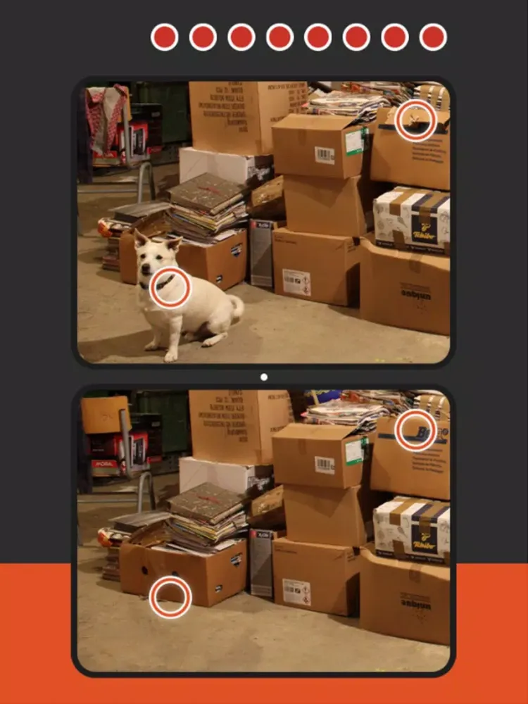 Find the 10 Differences & Spot Hidden Objects iPad  سکرین شاٹس