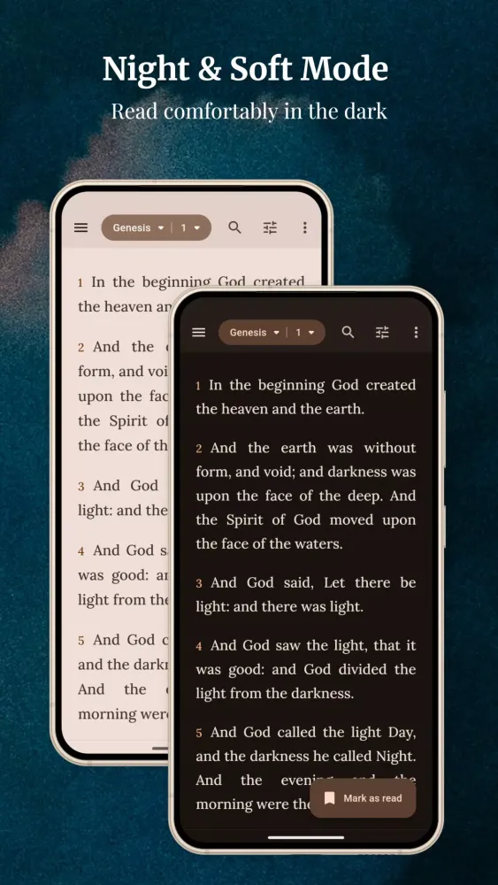 ภาพหน้าจอของ King James Bible (1611)