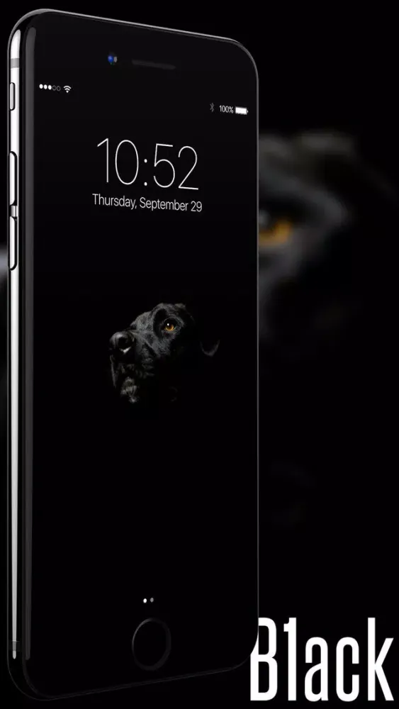 ภาพหน้าจอของ B1ack