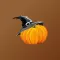 Autumn & Halloween Stickers