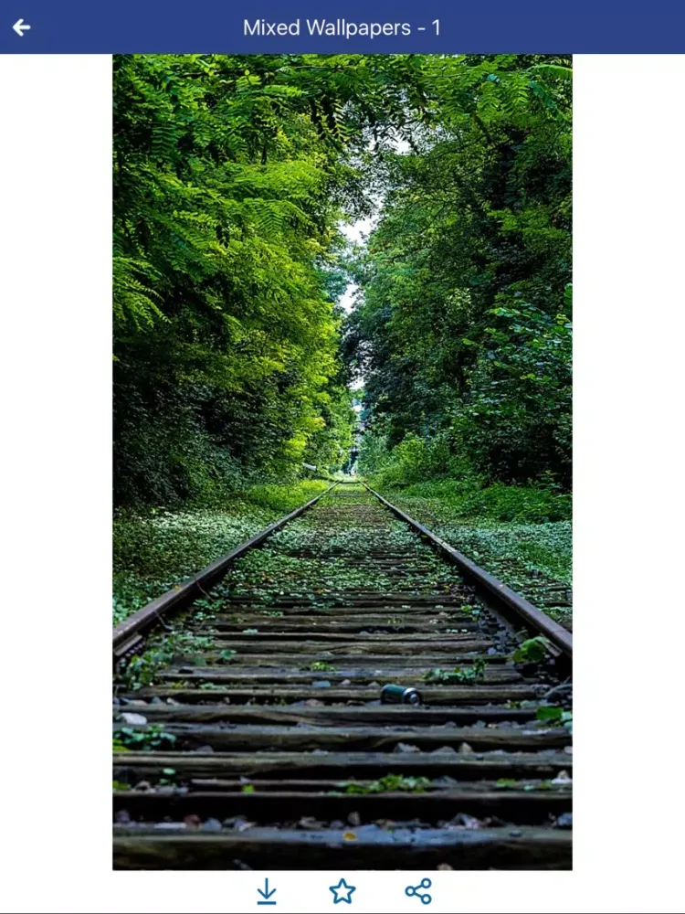 Capturas de tela do Mixed Wallpapers 4 Mobile iPad 